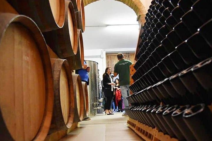 Wine Tasting and Guided Visit to the Vineyard and Cellar in S. Maria Imbaro
