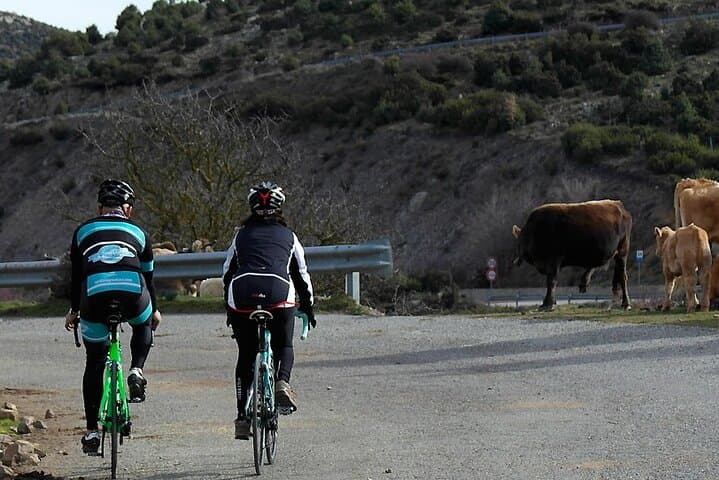 Road, Trekking or E-bike Bike Rental in Cagliari
