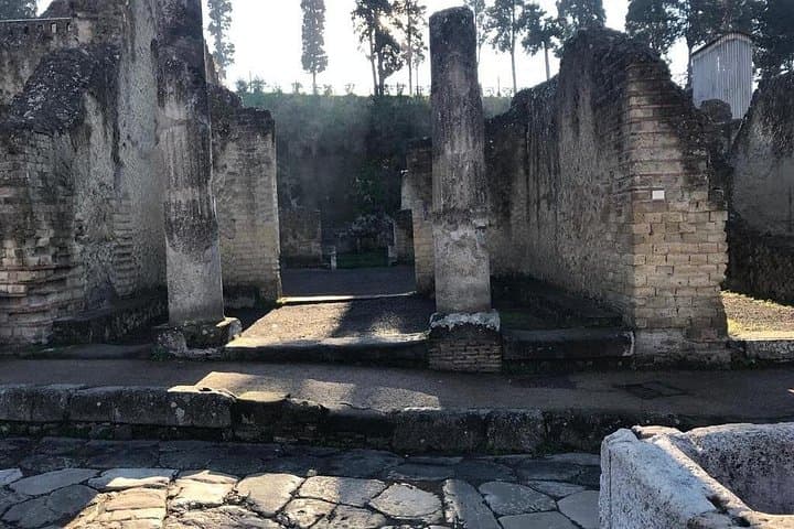 Herculaneum - Small Group Tour