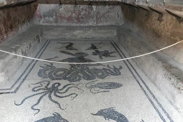 Herculaneum - Small Group Tour