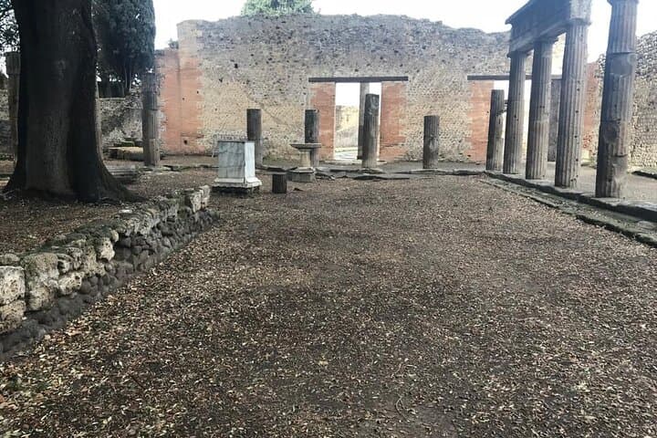 Pompeii - Private Tour (skip-the-line admission included)