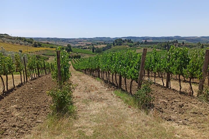 Chianti countryside area (original picture of our visits)