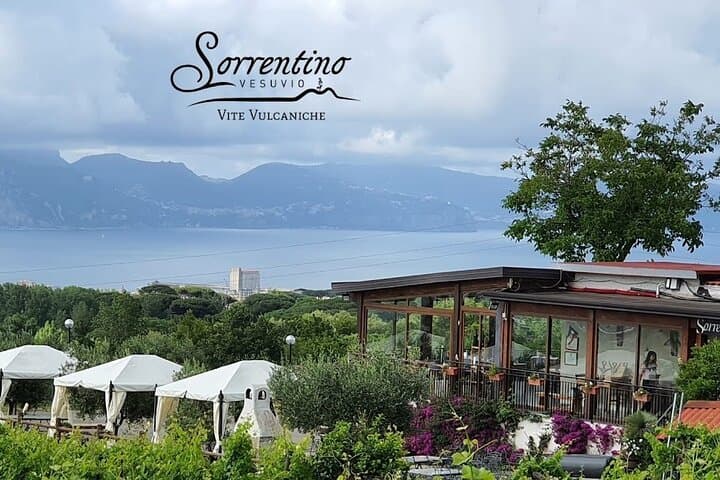 View of the winery restaurant