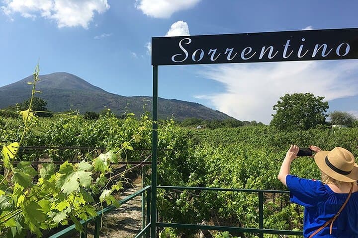 View of the Vesuvius from the vineyards
