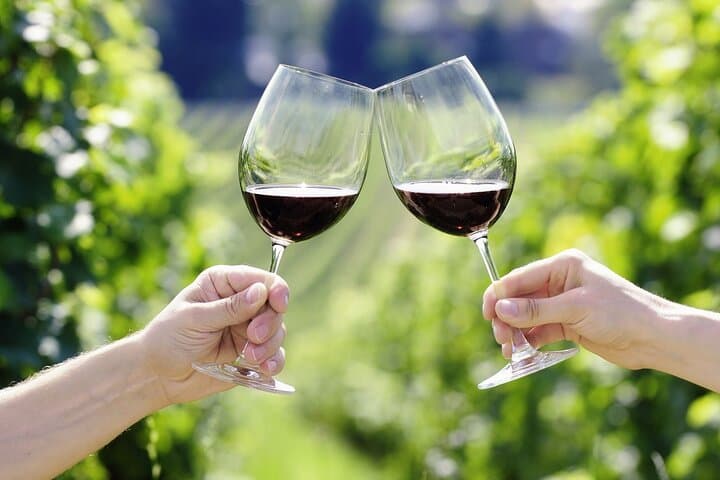 Small Group Wine Tour & San Gimignano Visit