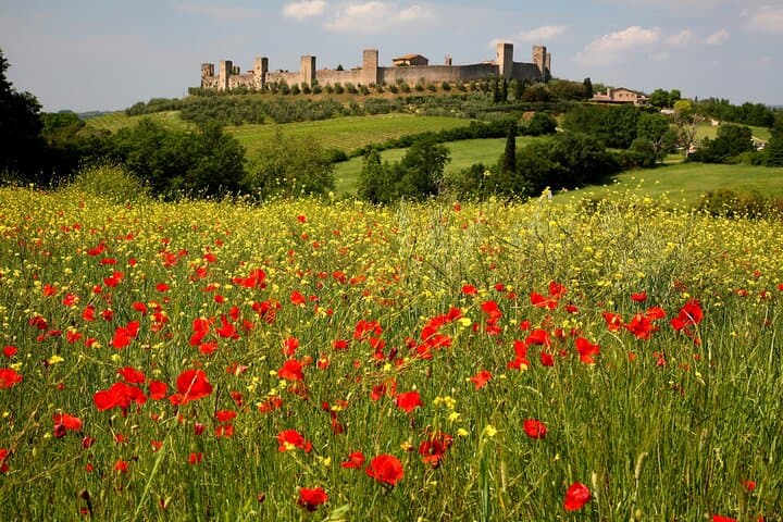 Small Group E-Bike Chianti Tour with farm lunch from Siena