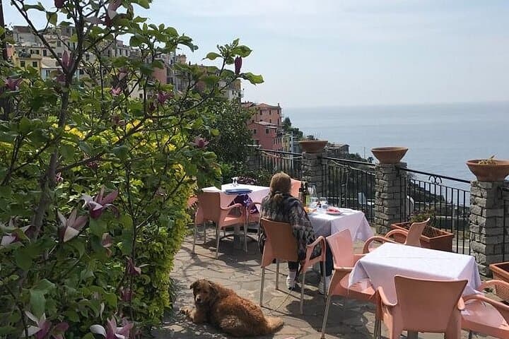 Exclusive Cinque Terre by Ferry with stop in Pisa from Florence