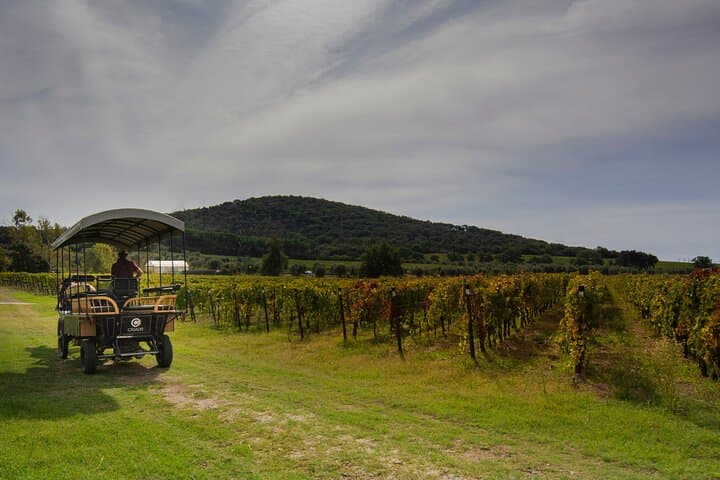 Exclusive Private Suvereto Experience: Land of Elisa Bonaparte