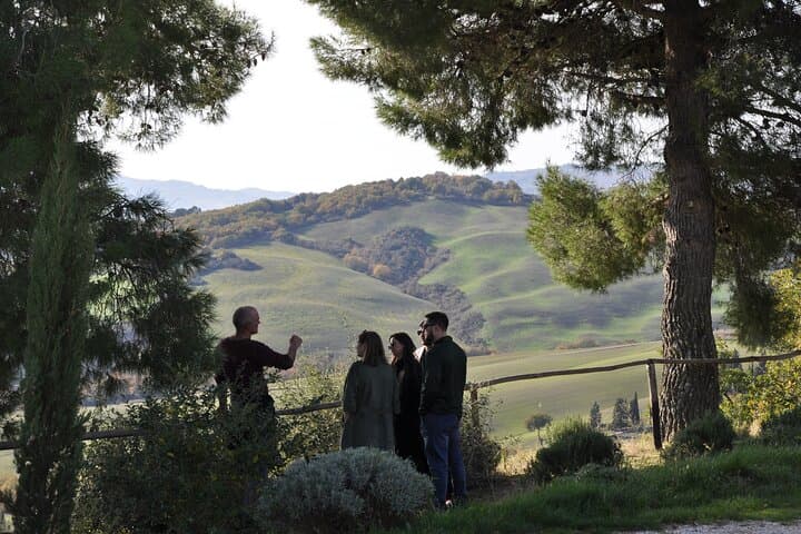 Exclusive Val d'Orcia Tour from Florence - A cinematic universe