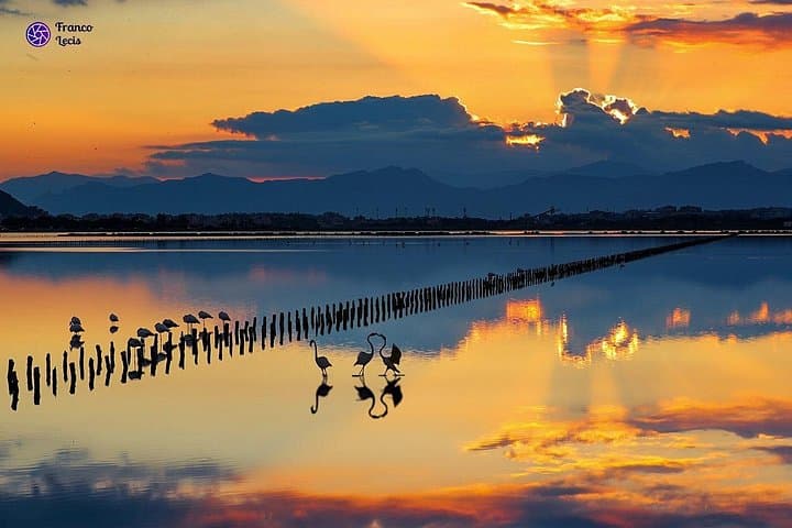 Cagliari city tour and flamingo park by minivan and on foot