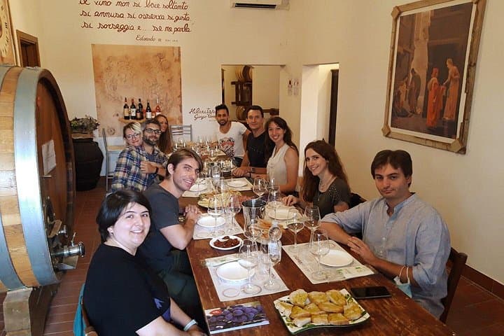 Private Tasting of Organic Wines in the Cellar in Mugliano