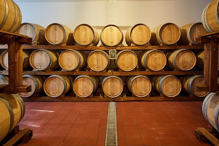 Private Tasting of Organic Wines in the Cellar in Mugliano