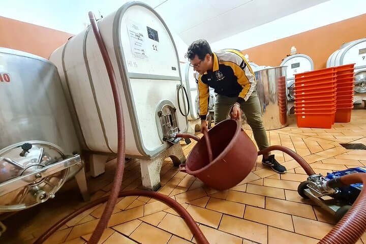 Wine & Oil Tasting Experience