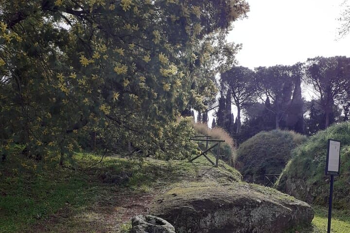 The funerary mound of the Banditaccia necropolis