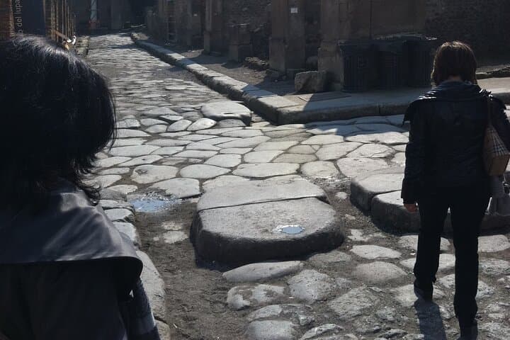 Day trip from Rome to Pompei Mt Vesuvius & Local Guide included