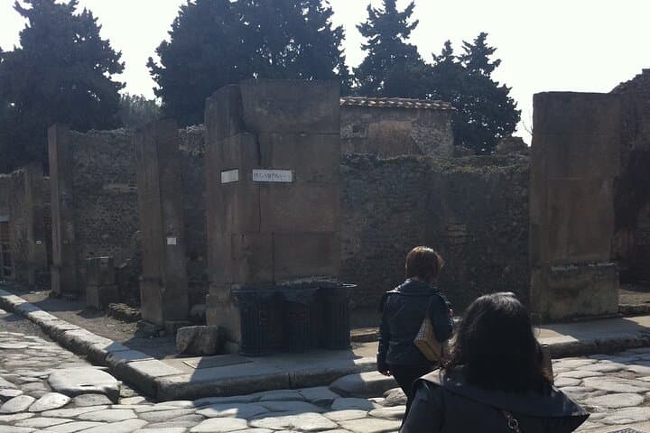 Day trip from Rome to Pompei Mt Vesuvius & Local Guide included
