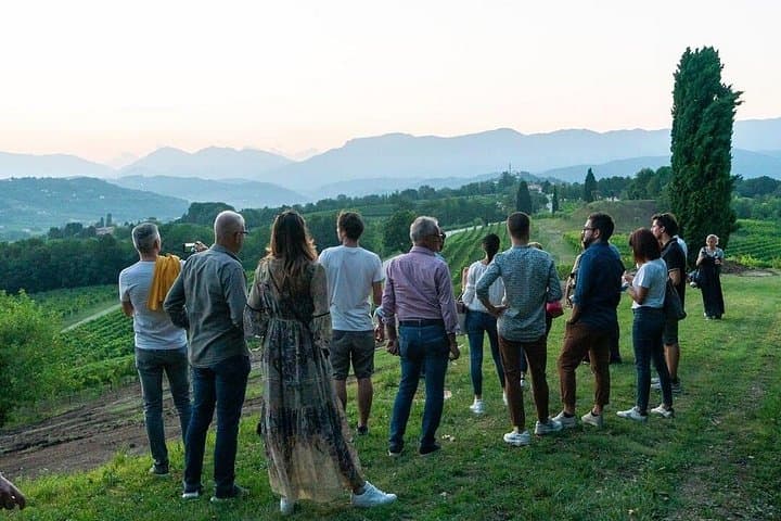 Exclusive Tour of the Vineyards with Visit to the Cellar!