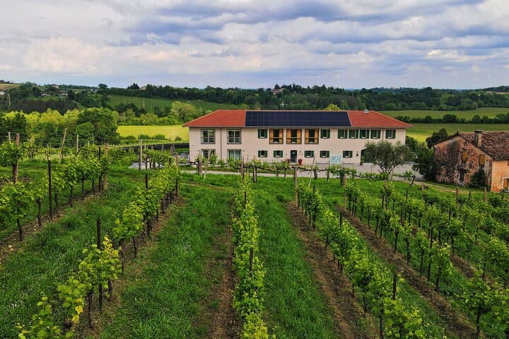 Unconventional Prosecco Tasting with Stunning View on Vineyards