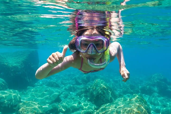 Dolphin Watching and Snorkeling in Figarolo in Sardinia