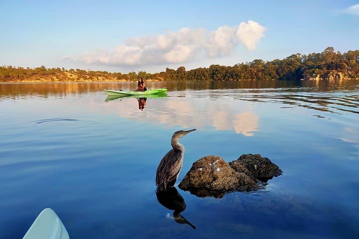 One of the friends who meet on the tour