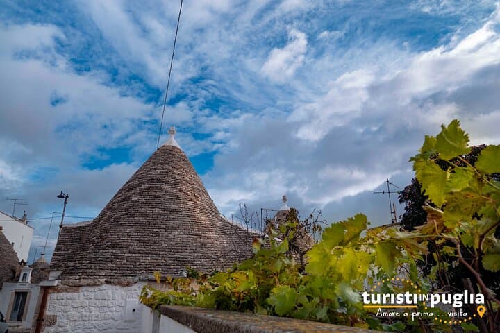 Cultural and gastronomic tour in Alberobello