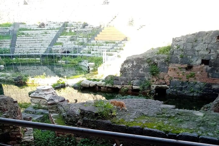 Private tour of Catania and the Riviera of the Cyclops