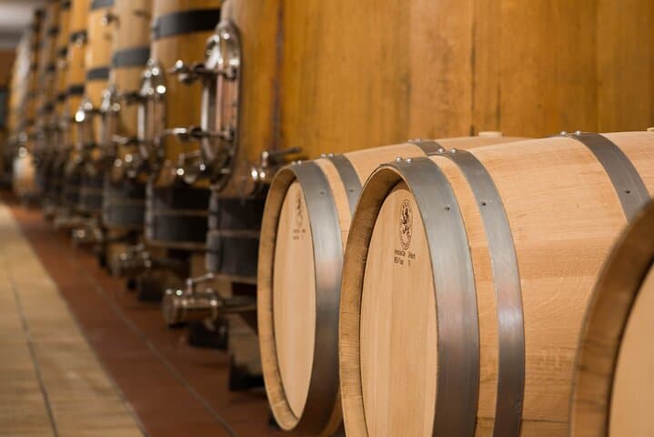 Vineyard tour with tasting of 4 wines on Garda Hills