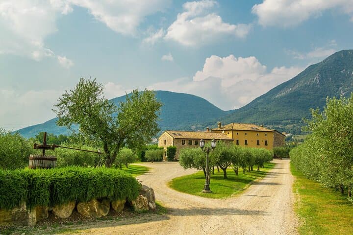 Vineyard tour with tasting of 4 wines on Garda Hills
