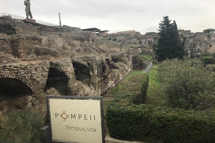 Private transfer from Naples to Pompeii or viceversa