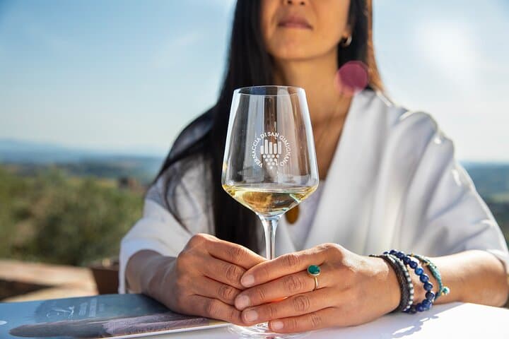 Superior Wine Tasting in San Gimignano