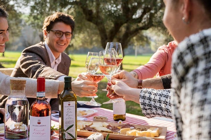 2-Hour Picnic among the Olive Trees with Typical Abruzzese Products