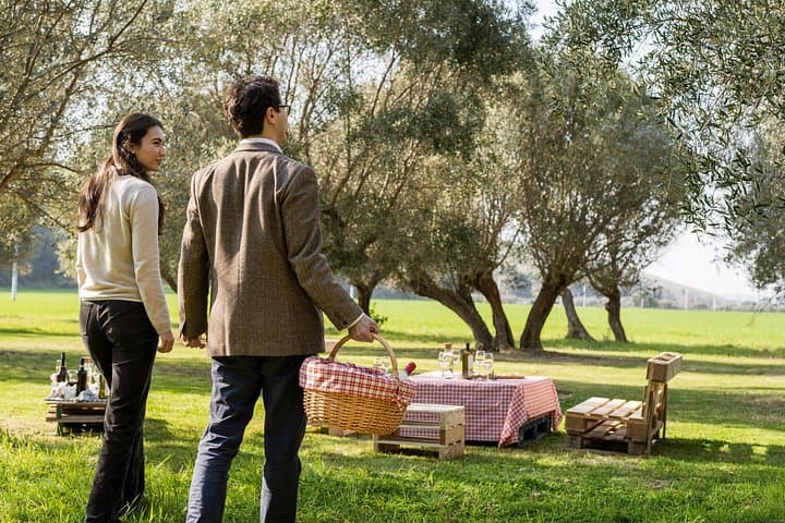2-Hour Picnic among the Olive Trees with Typical Abruzzese Products