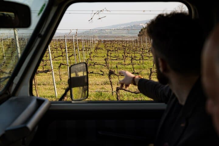 3-Hours of Activities with Safari Grand Tour and Tasting in Vineyards