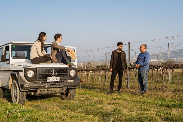 3-Hours of Activities with Safari Grand Tour and Tasting in Vineyards