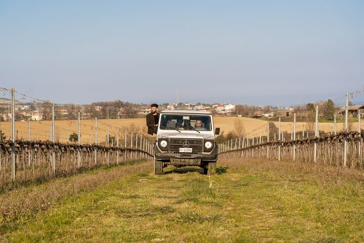 3-Hours of Activities with Safari Grand Tour and Tasting in Vineyards