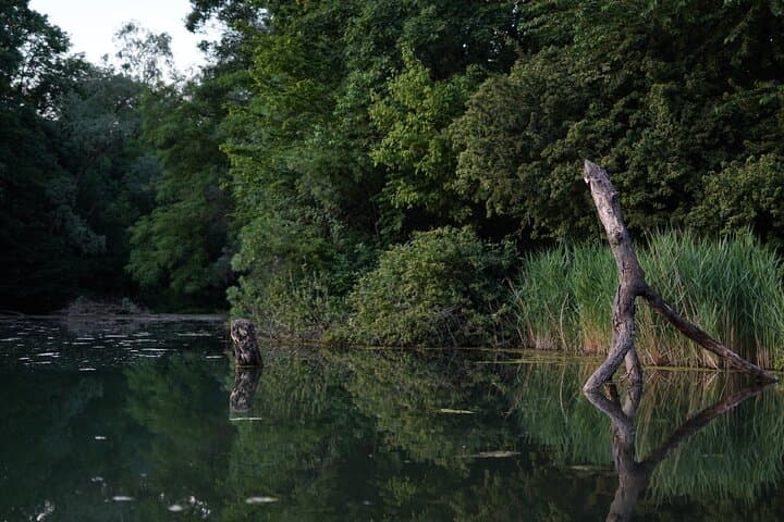 The Milan you don't expect, bike tour with picnic on the lake