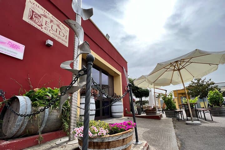 L'esterno della cantina in una mattinata nuvolosa