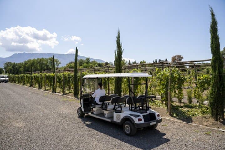Wine Tasting Including Lunch