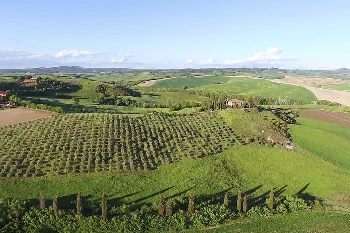 Chianti view