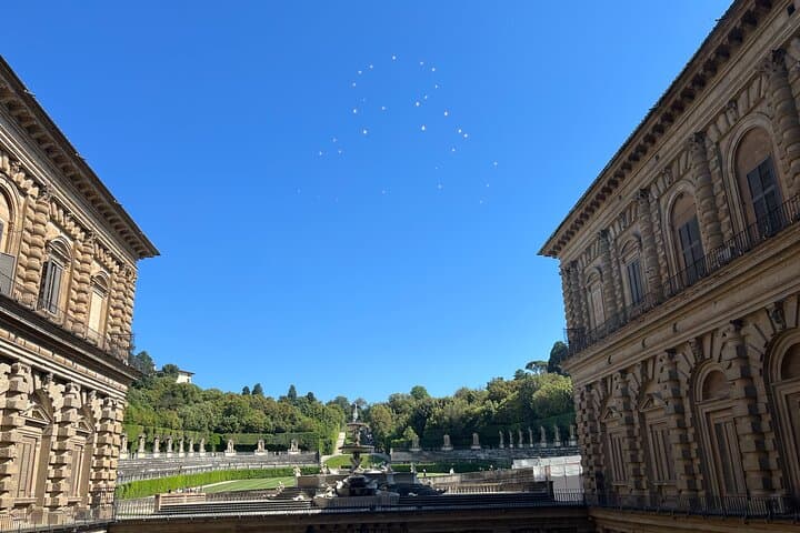 Pitti Palace & Boboli gardens tour with a Local Guide