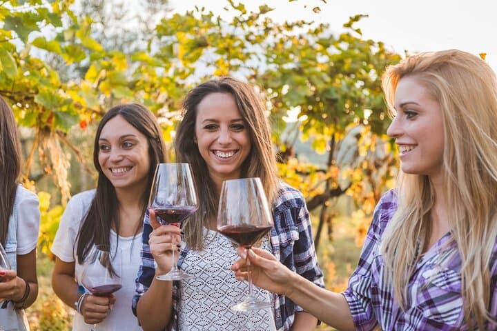 Barolo & Langhe Wine Tasting Tour from Turin