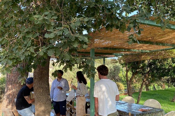 Authentic Elba Wine Tasting with Vineyard Walk & Sea Views