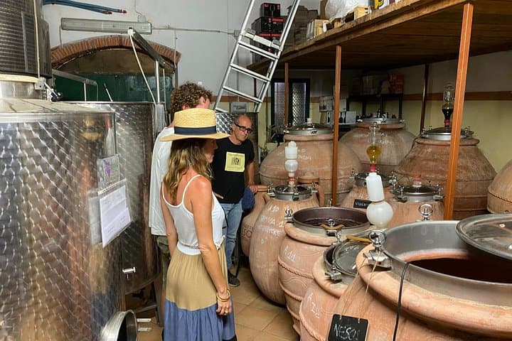 Authentic Elba Wine Tasting with Vineyard Walk & Sea Views