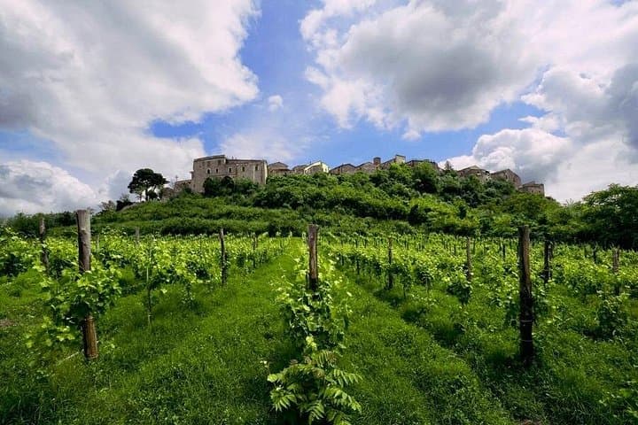 2 Days Tour Visit Winery in Positano With Pick Up