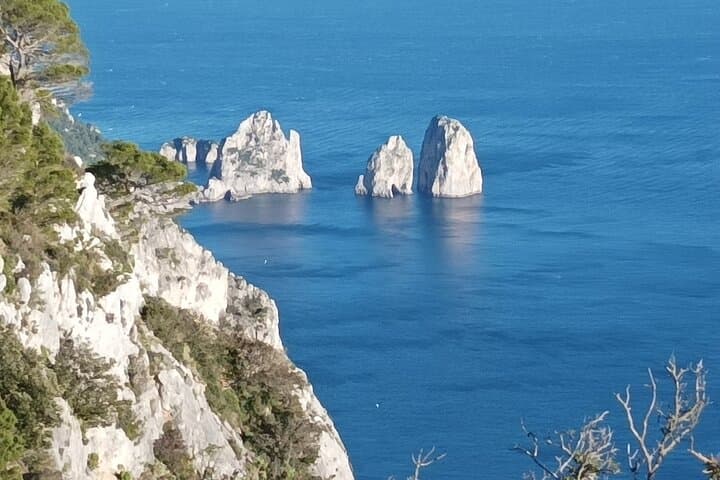 Full-Day Private Capri, Anacapri and Blue Grotto Tour from Naples