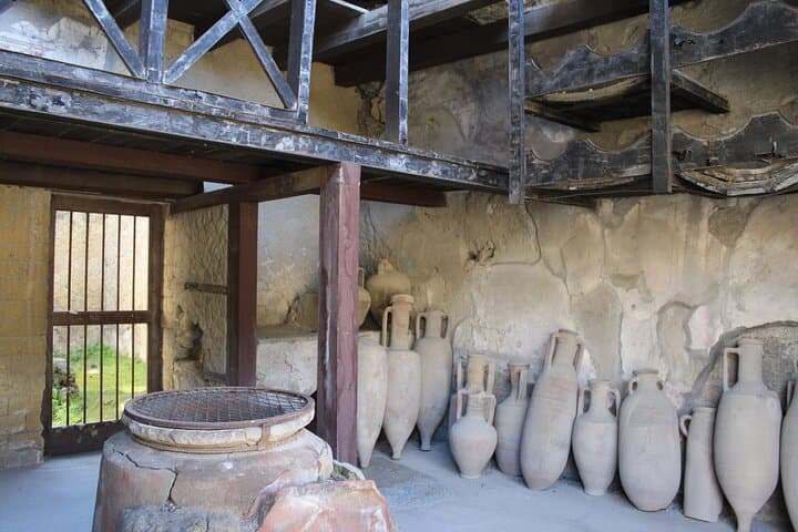 Herculaneum Private Guided Tour Led by a Local Top-rated Guide - All inclusive