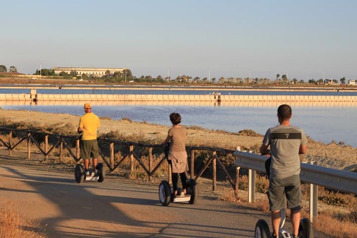 Combo: Cagliari Old Town and the Oasis of Flamingos