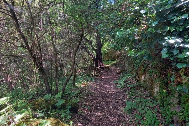 Cavagrande hiking tour