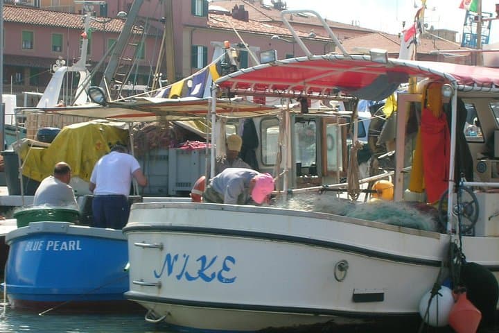The fishing harbour