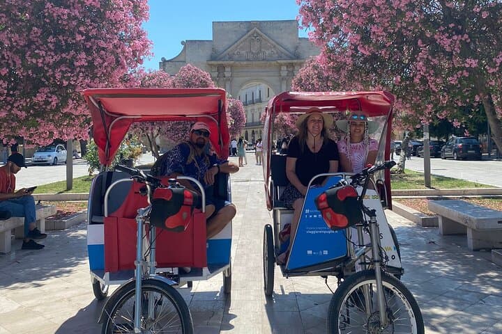 Guided Tour of the Historic Attractions of Lecce Private